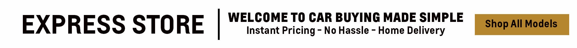 Express Store - Start Shopping